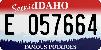 ID license plate E057664