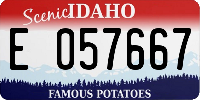 ID license plate E057667