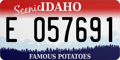 ID license plate E057691