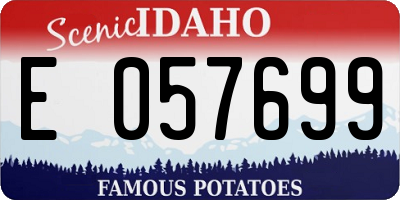 ID license plate E057699