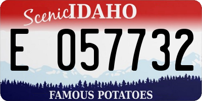 ID license plate E057732