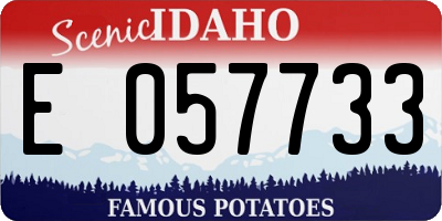 ID license plate E057733