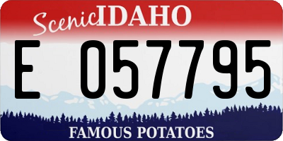 ID license plate E057795