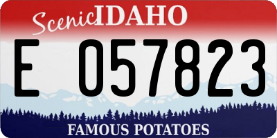 ID license plate E057823