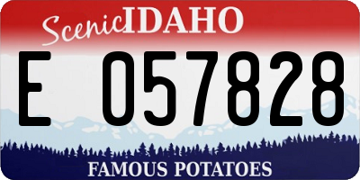 ID license plate E057828