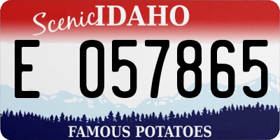 ID license plate E057865