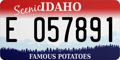 ID license plate E057891
