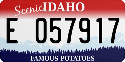 ID license plate E057917