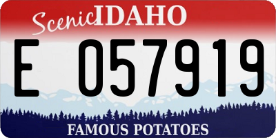 ID license plate E057919
