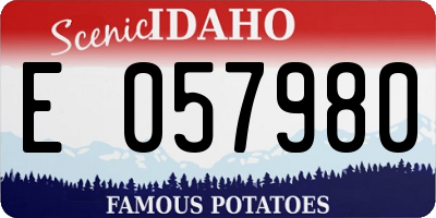 ID license plate E057980