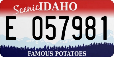 ID license plate E057981
