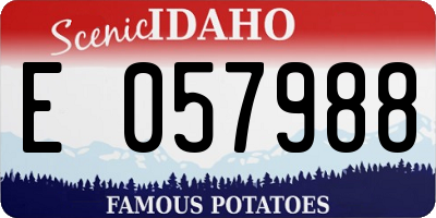 ID license plate E057988