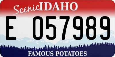ID license plate E057989