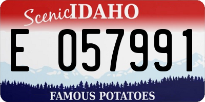 ID license plate E057991