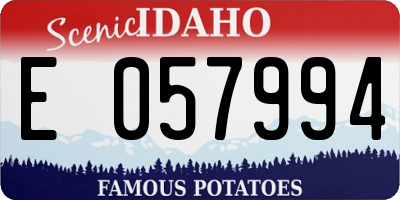 ID license plate E057994