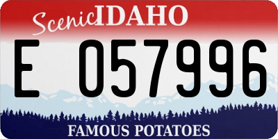 ID license plate E057996
