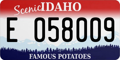 ID license plate E058009