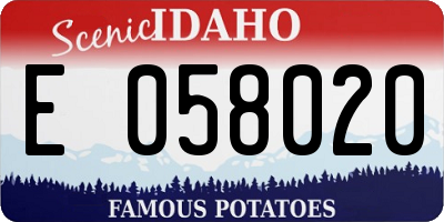 ID license plate E058020