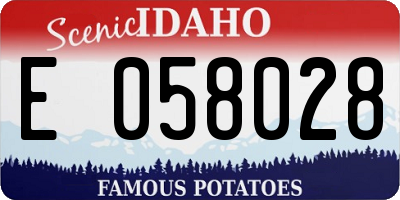 ID license plate E058028