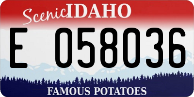 ID license plate E058036