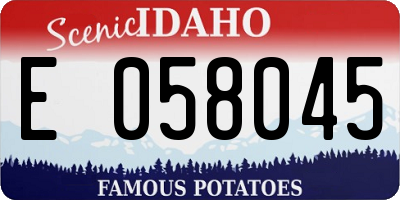 ID license plate E058045