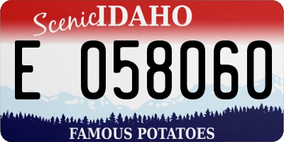 ID license plate E058060