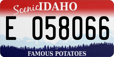 ID license plate E058066