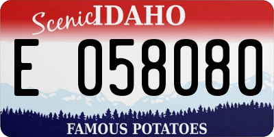 ID license plate E058080