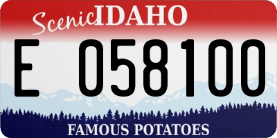 ID license plate E058100