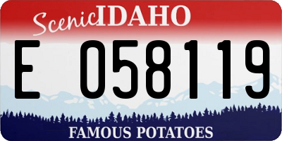 ID license plate E058119