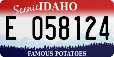 ID license plate E058124