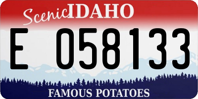 ID license plate E058133