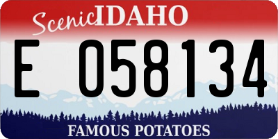 ID license plate E058134