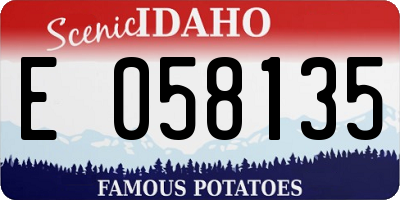 ID license plate E058135