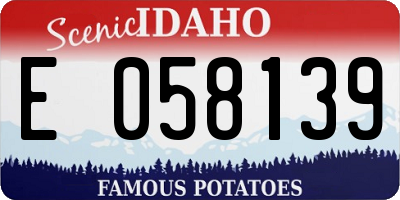 ID license plate E058139