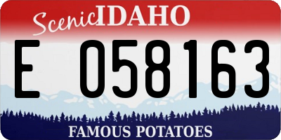 ID license plate E058163