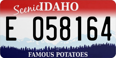 ID license plate E058164