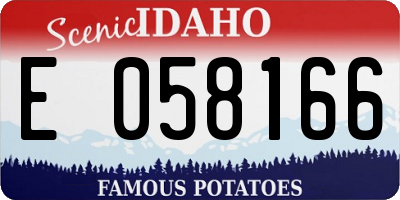 ID license plate E058166