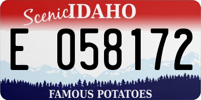 ID license plate E058172