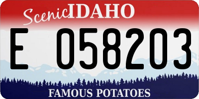 ID license plate E058203