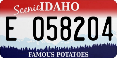 ID license plate E058204