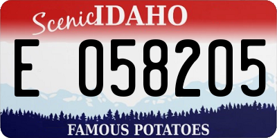 ID license plate E058205