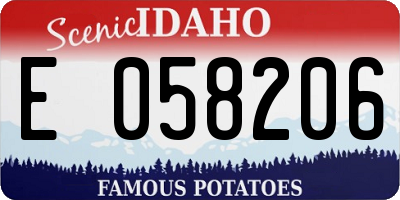 ID license plate E058206