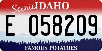 ID license plate E058209