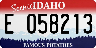 ID license plate E058213