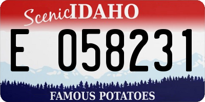 ID license plate E058231