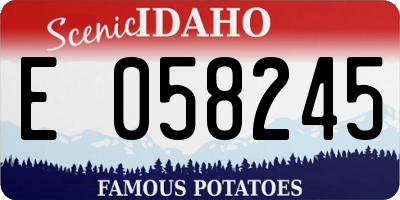 ID license plate E058245