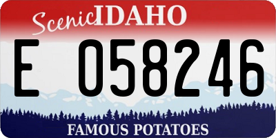 ID license plate E058246
