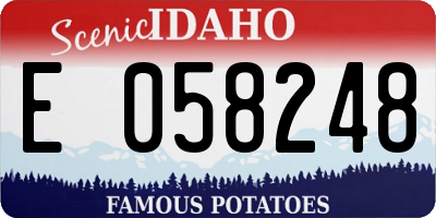 ID license plate E058248