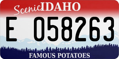 ID license plate E058263
